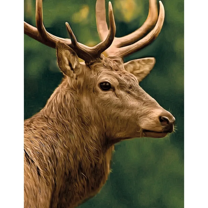 Diamond-Painting-Bild, Hirsch, 25cm x 35cm, inkl. Werkzeug