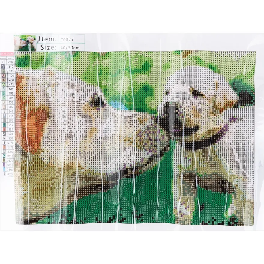 Diamond-Painting-Bild, Hundefamilie, 35cm x 25cm, inkl. Werkzeug