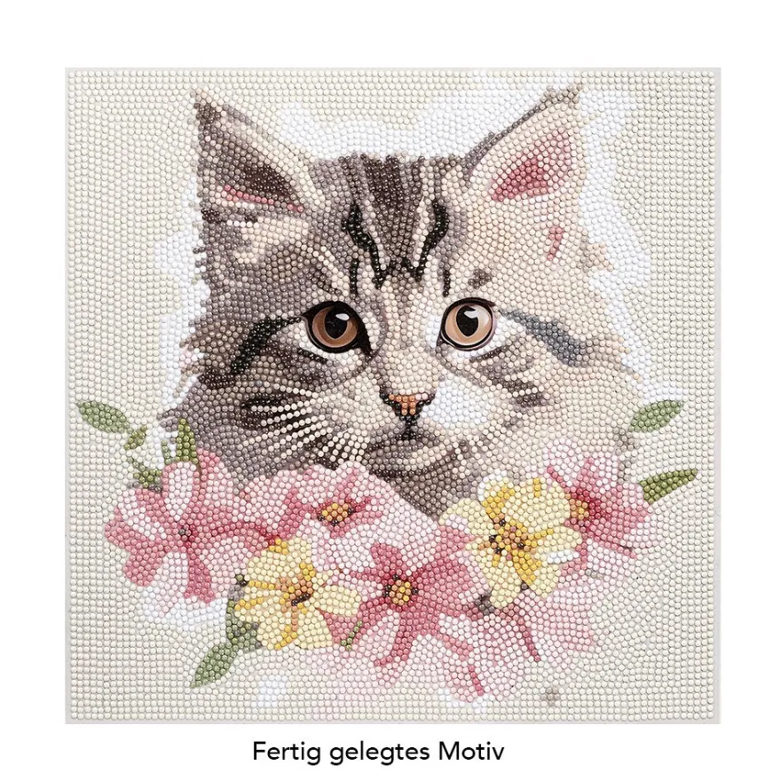 Diamond-Painting-Bild, Katze mit Blüten, 30cm x 30cm, inkl. Werkzeug