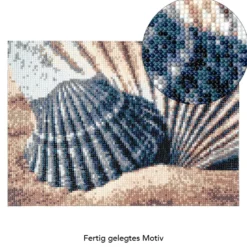 Diamond-Painting-Bild, Muscheln, 25cm x 35cm, inkl. Werkzeug