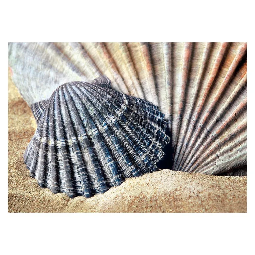 Diamond-Painting-Bild, Muscheln, 25cm x 35cm, inkl. Werkzeug