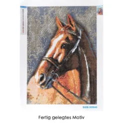 Diamond-Painting-Bild, Pferd 3, 25cm x 35cm, inkl. Werkzeug