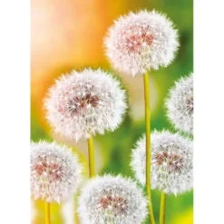 Diamond-Painting-Bild, Pusteblumen, 25cm x 35cm, inkl. Werkzeug