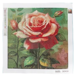 Diamond-Painting-Bild, Rose in Apricot, 30cm x 30cm, inkl. Werkzeug