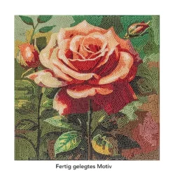 Diamond-Painting-Bild, Rose in Apricot, 30cm x 30cm, inkl. Werkzeug
