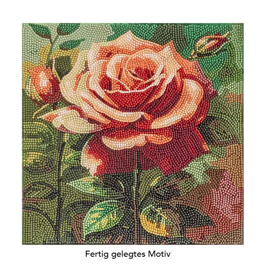 Diamond-Painting-Bild, Rose in Apricot, 30cm x 30cm, inkl. Werkzeug