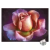 Diamond-Painting-Bild, Strass, Rose 1, 25cm x 35cm, inkl. Werkzeug