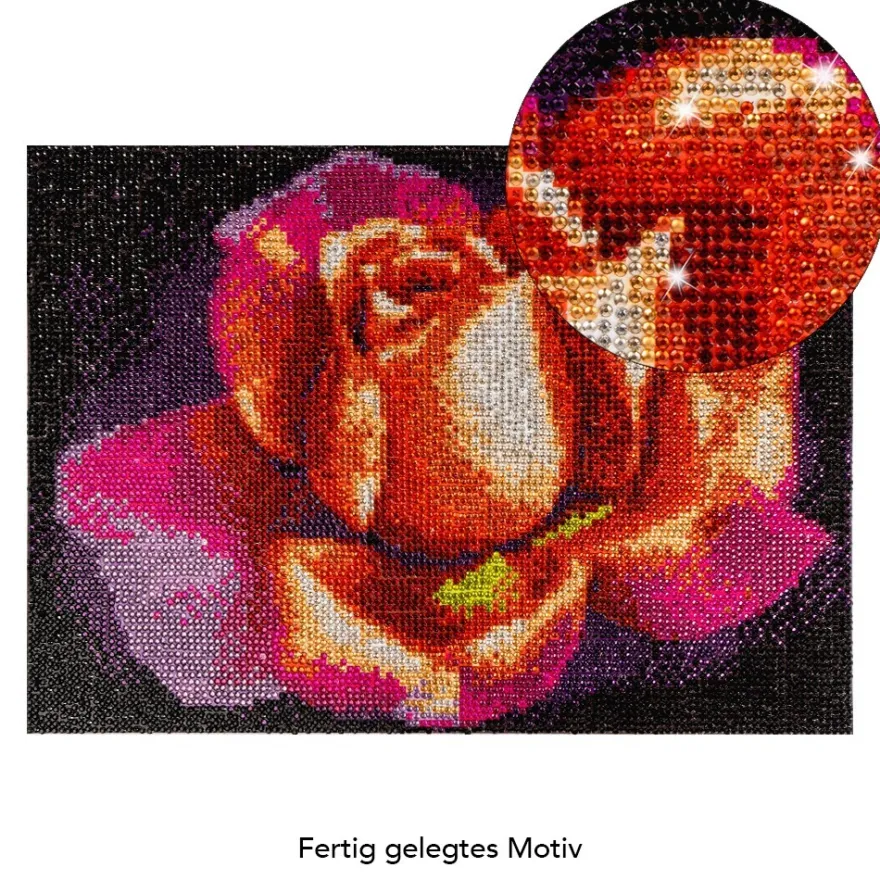 Diamond-Painting-Bild, Strass, Rose 1, 25cm x 35cm, inkl. Werkzeug