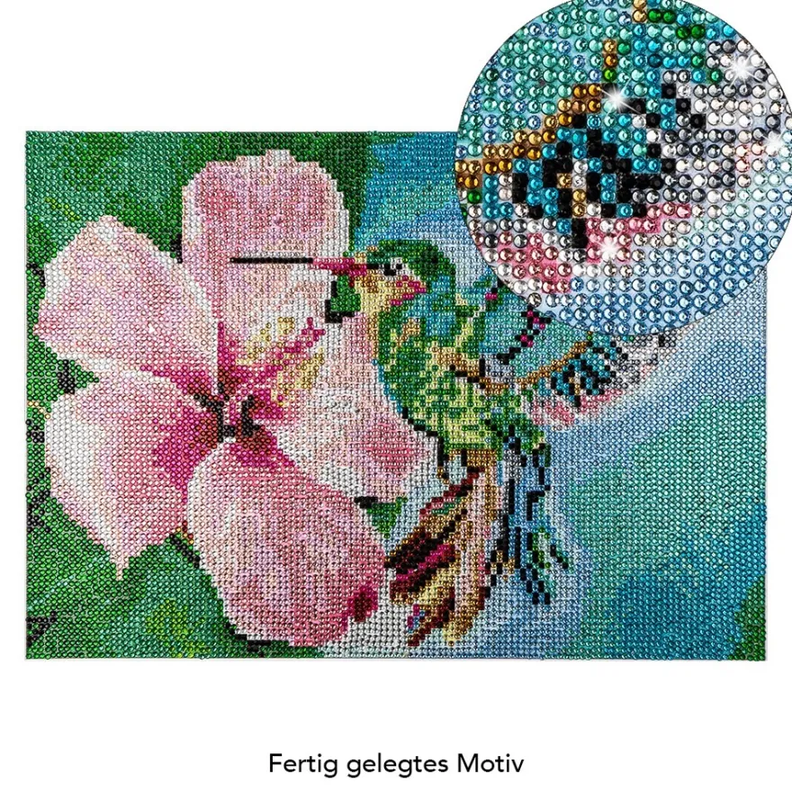 Diamond-Painting-Bild, Strass, Kolibri, 25cm x 35cm, inkl. Werkzeug