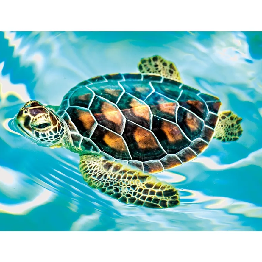 Diamond-Painting-Bild, Wasserschildkröte, 35cm x 25cm, inkl. Werkzeug