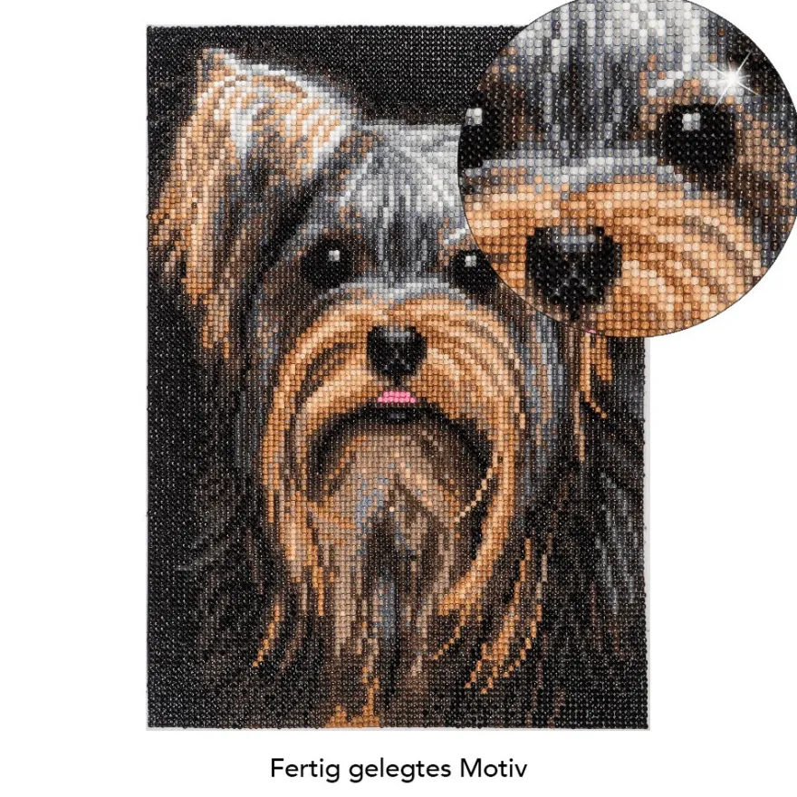 Diamond-Painting-Bild, Yorkshire Terrier, 25cm x 35cm, inkl. Werkzeug