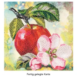 Diamond-Painting-Grußkarte, Apfel mit Blüte, 16cm x 16cm, inkl. Zubehör