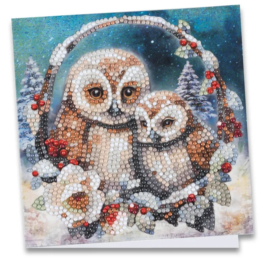 Diamond-Painting-Grußkarte, Eulen im Winter 2, 16cm x 16cm, inkl. Zubehör
