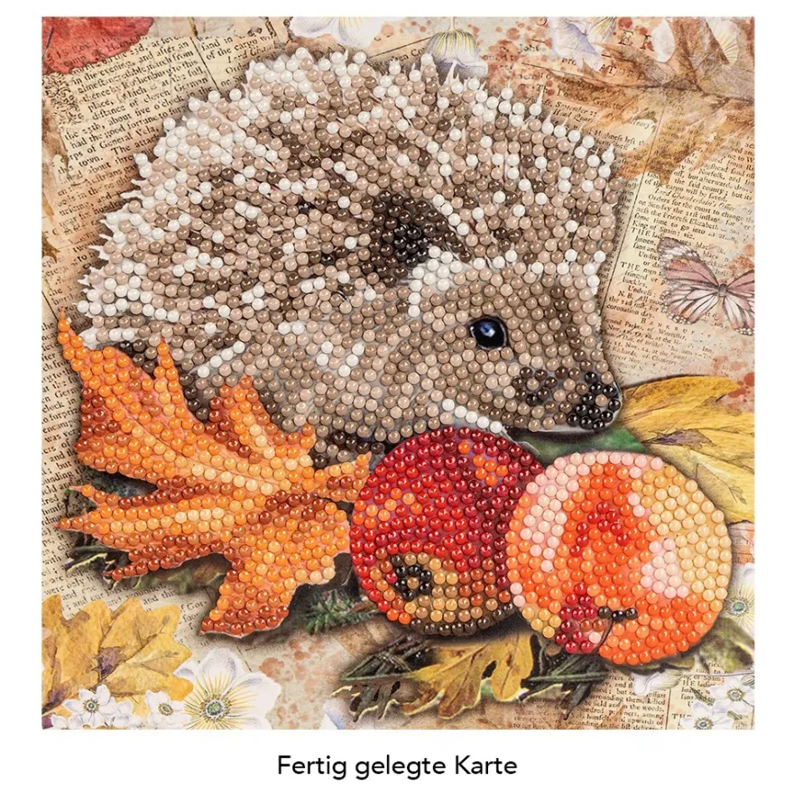 Diamond-Painting-Grußkarte, Igel mit Herbstdeko, 16cm x 16cm, inkl. Zubehör