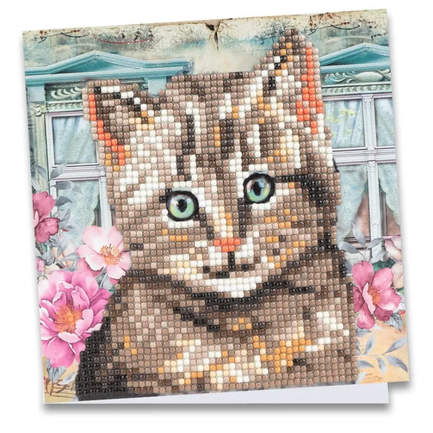 Diamond-Painting-Grußkarte, Katze, 16cm x 16cm, inkl. Zubehör