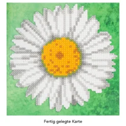 Diamond-Painting-Grußkarte, Margerite, 16cm x 16cm, inkl. Zubehör