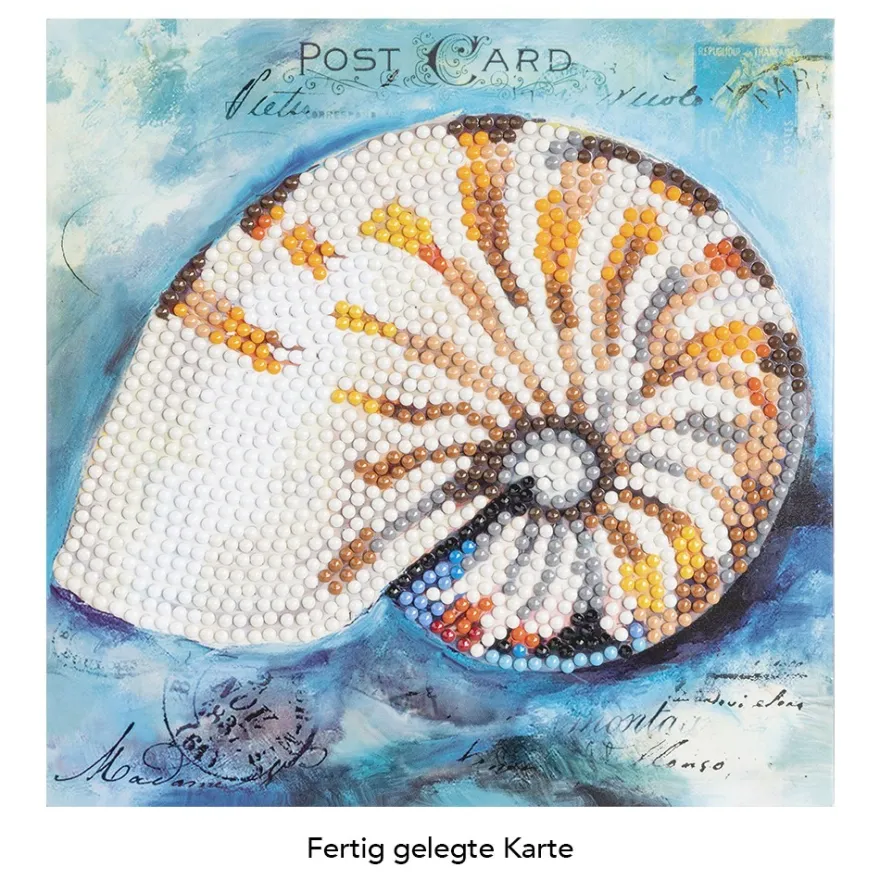 Diamond-Painting-Grußkarte, Nautilus, 16cm x 16cm, inkl. Zubehör