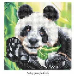 Diamond-Painting-Grußkarte, Panda, 16cm x 16cm, inkl. Zubehör