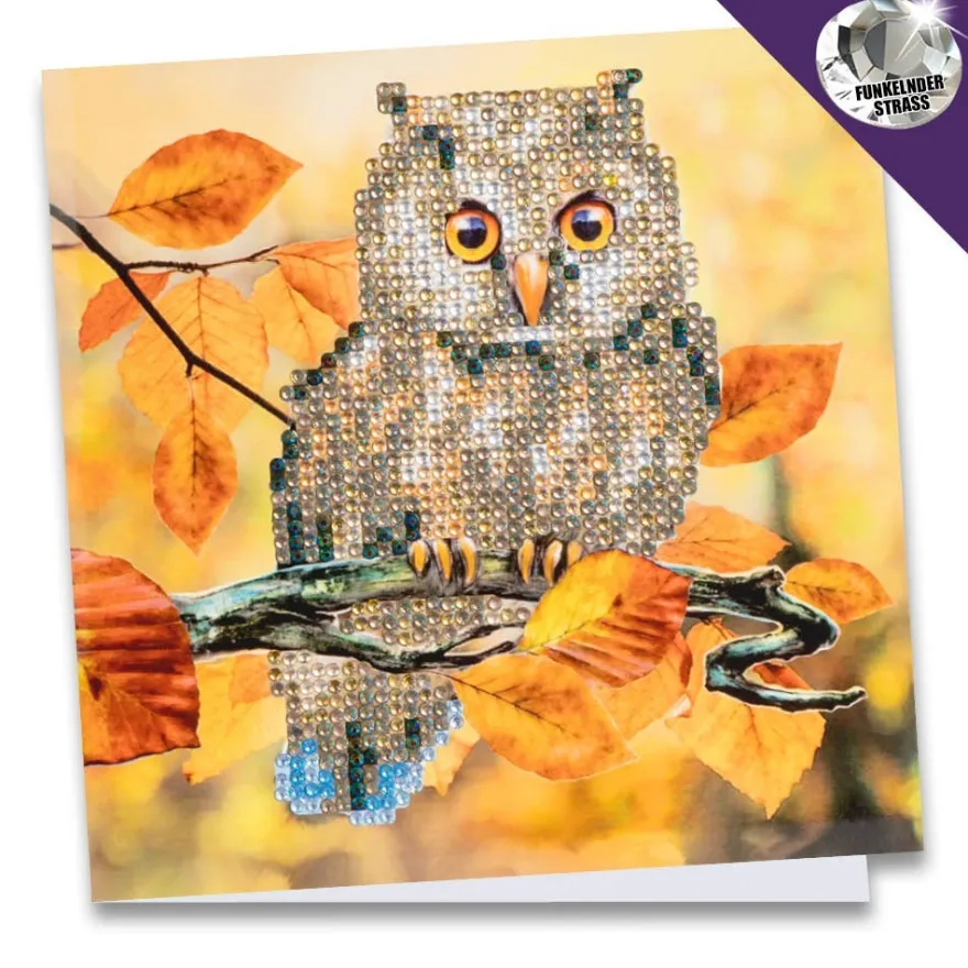 Diamond-Painting-Grußkarte, Strass, Eule 1, 16cm x 16cm, inkl. Zubehör