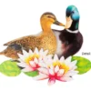 3-D Motive, Teich-Idylle, 6-11,5cm, 10 Motive
