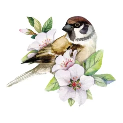 3-D Motive, Wellensittiche & Vögel, 7-9cm, 10 Motive