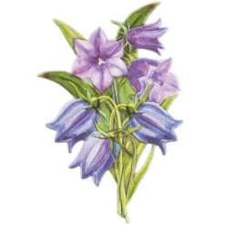 3-D Relief-Sticker, Blaue Blüten 2, verschiedene Größen, selbstklebend