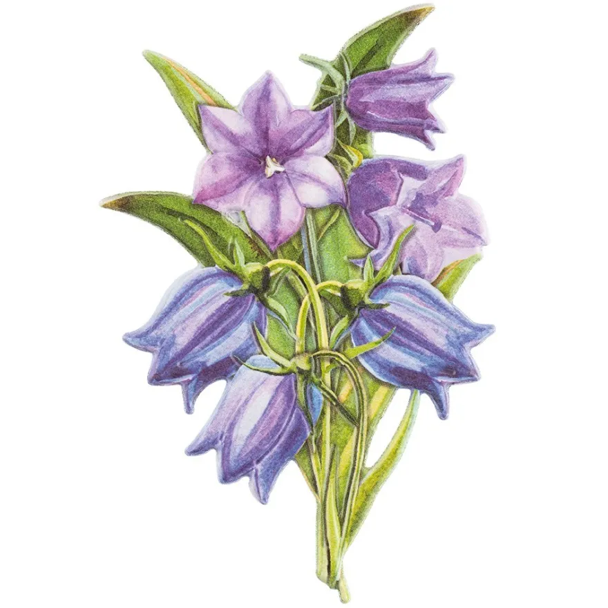 3-D Relief-Sticker, Blaue Blüten 2, verschiedene Größen, selbstklebend