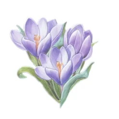 3-D Relief-Sticker, Blumensträuße 3, verschiedene Größen, selbstklebend