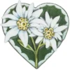 3-D Relief-Sticker, Edelweiß 5, verschiedene Größen, selbstklebend