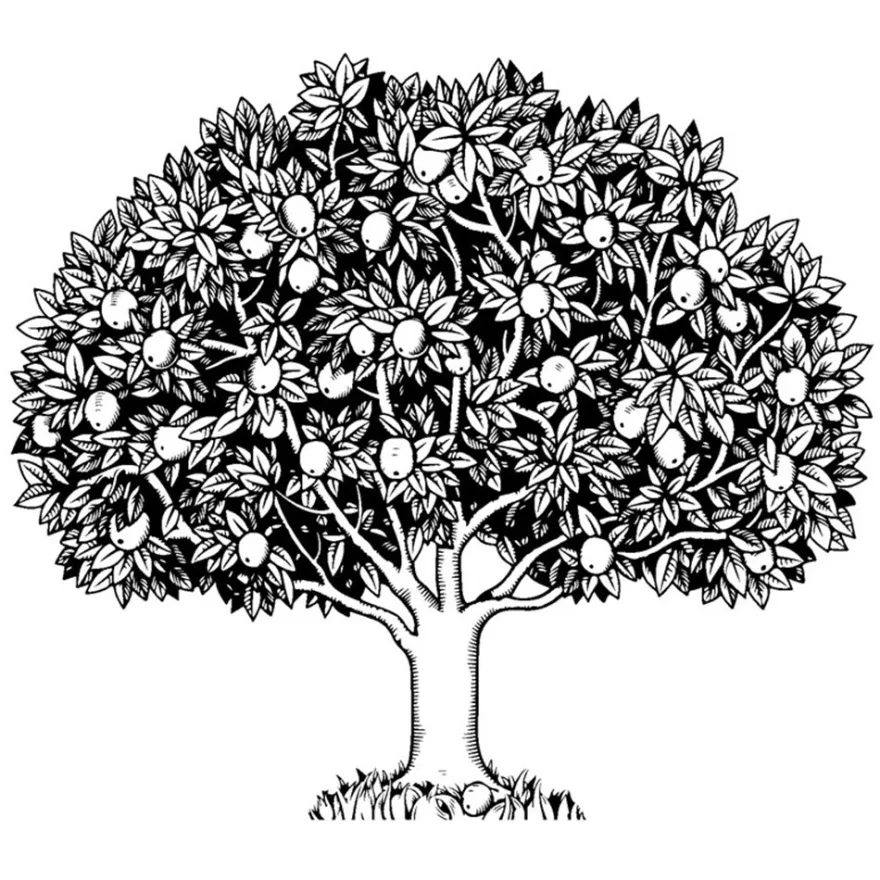 Feinkontur-Stempel, 15 x 15 cm, Baum