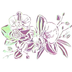 Folien-Bügeltransfer, Orchideen 2, DIN A4, rosé