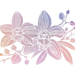 Folien-Bügeltransfer, Orchideen 1, DIN A4, rosé