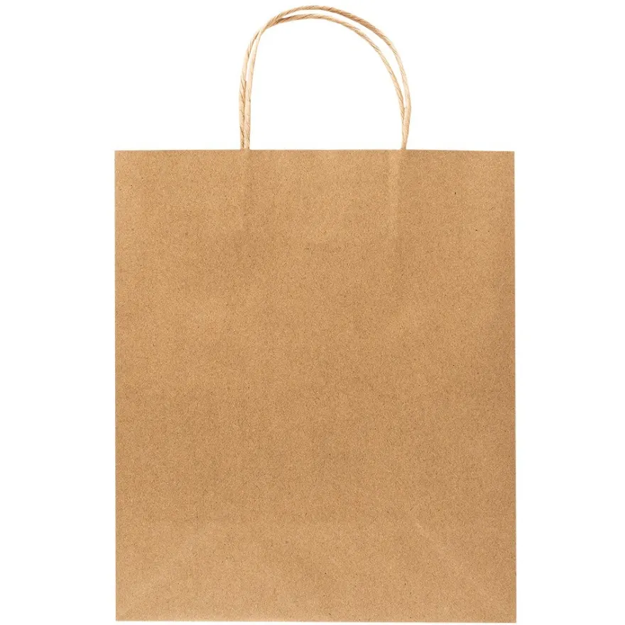 Kraftpapier-Taschen, 25,4cm x 30,5cm x 12,7cm, 170g/m², 12 Stück