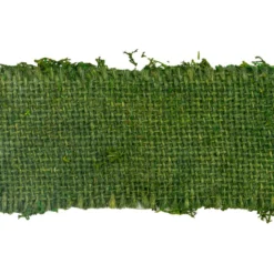 Moosband, 5cm breit, 2m lang, grün