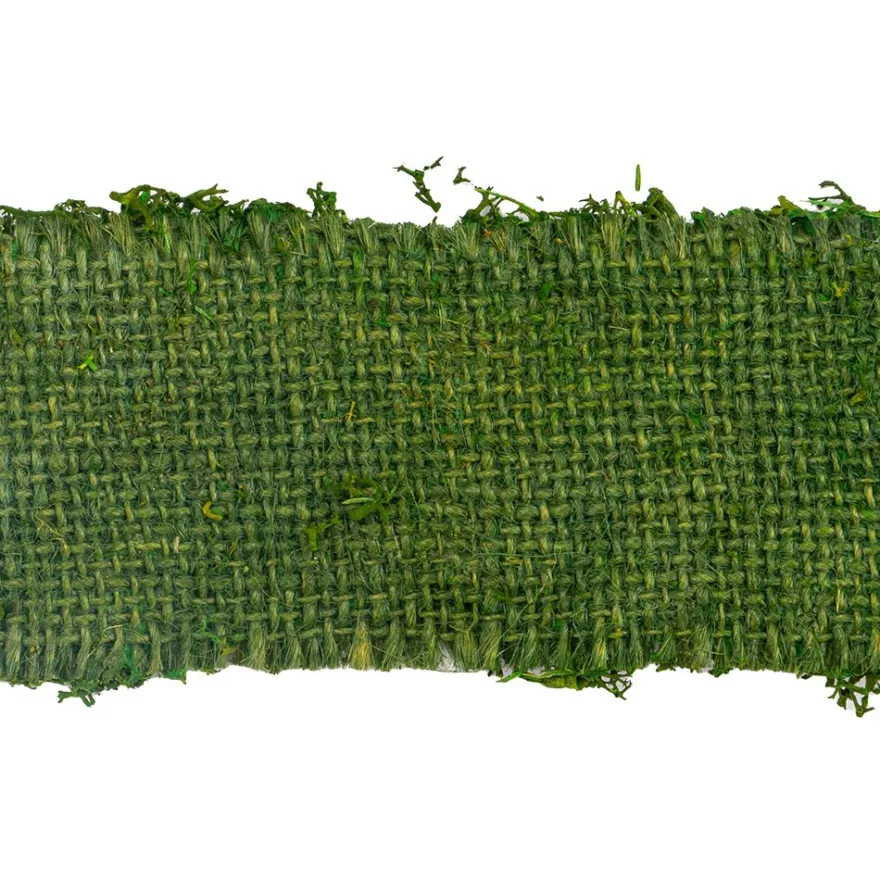 Moosband, 5cm breit, 2m lang, grün