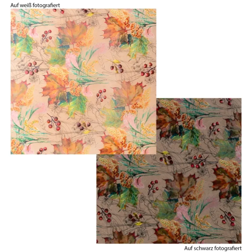 Motiv-Transparentpapiere Deluxe, Herbst, DIN A4, versch. Designs, 10 Bogen