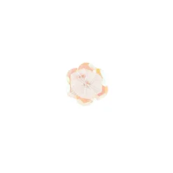 Paillettenblumen, Ø2cm, 10 Stück, lachs-irisierend