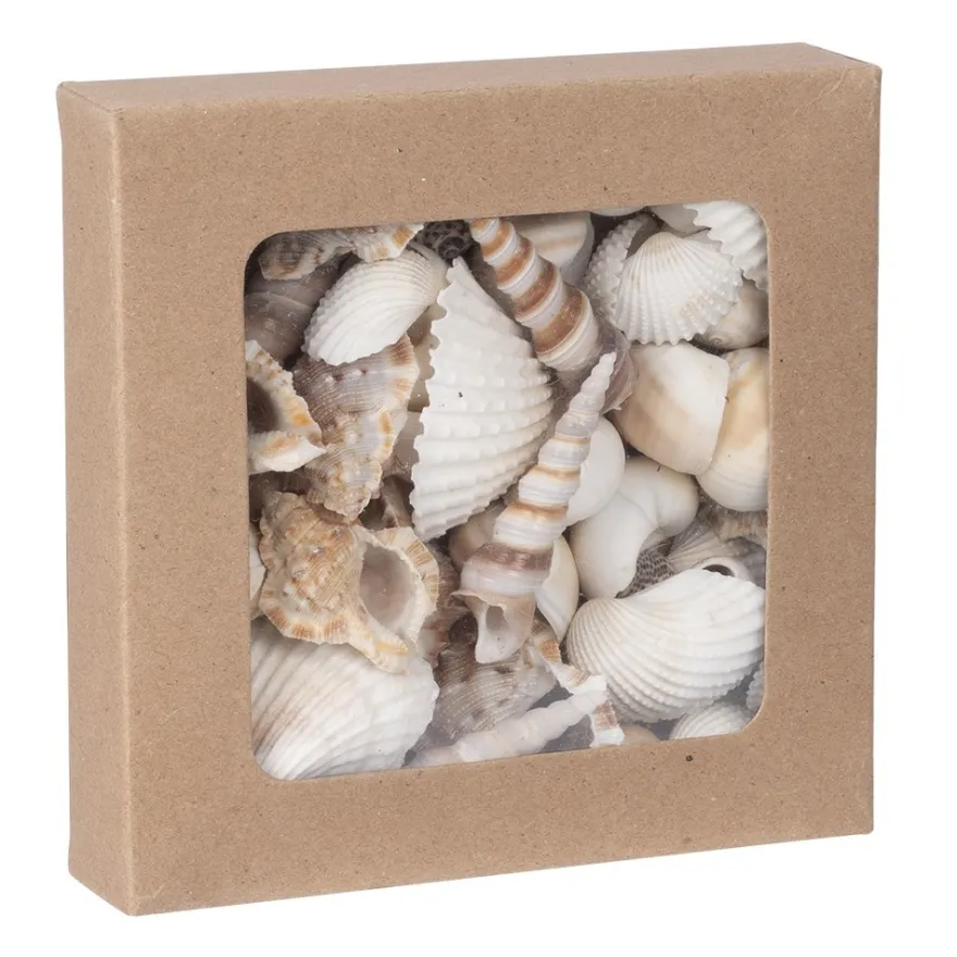 Potpourri, Muscheln, 450g, natur