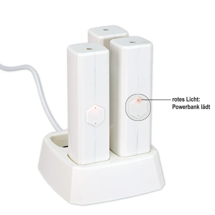 Powerbanks mit Ladestation, inkl. 4 LED-Drahtlichterketten mit Timer, 11-teilig