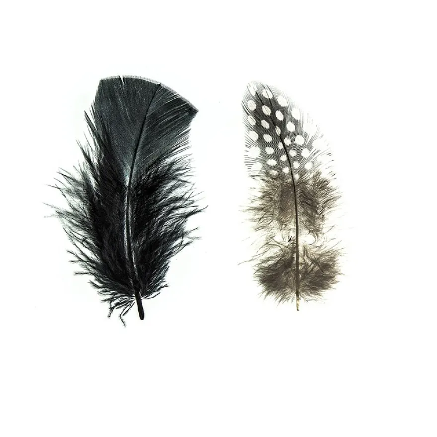 Premium-Flausch-Federn Duo, schlicht & gesprenkelt, 10g, schwarz & weiß