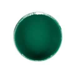 Premium-Tauchfarbe, Tannengrün, 250ml