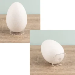 Präsentations-Ständer, Ø 5cm, 3,6cm hoch, transparent, 10 Stück