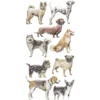 Relief-Sticker, Hunde, 17,5cm x 9cm