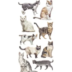 Relief-Sticker, Katzen, 17,5cm x 9cm