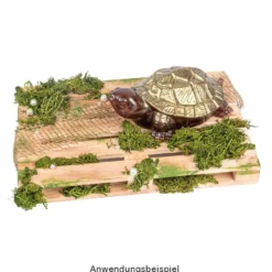 Silikonform, Schildkröte 3, 14,4cm x 9,3cm x 5,3cm, transluzent, lebensmittelecht