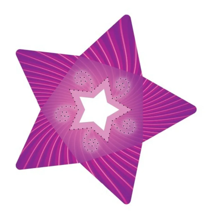 Stern-Stanzformen für 3-D Leuchtstern, 12 Stück, Design 5