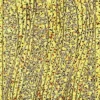 Sticker, Schwung-Linien Sterne, Hologrammfolie, gold