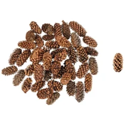 Wald-Deko, Tannenzapfen, verschiedene Größen, 100g
