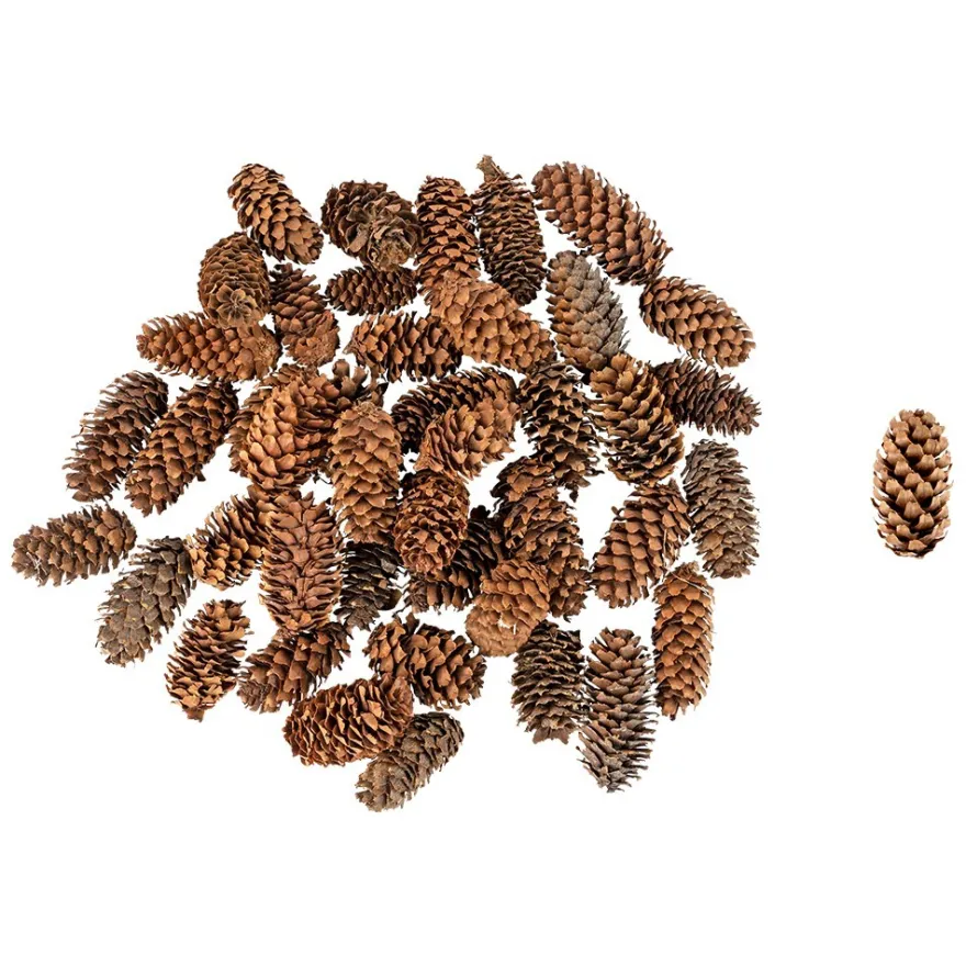 Wald-Deko, Tannenzapfen, verschiedene Größen, 100g